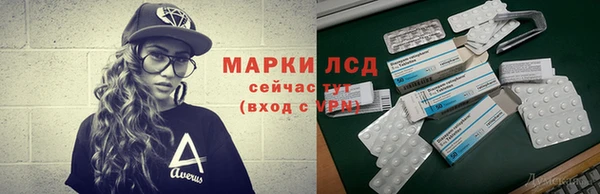 шишки Горно-Алтайск