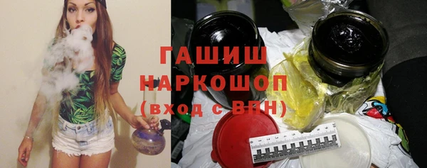 шишки Горно-Алтайск