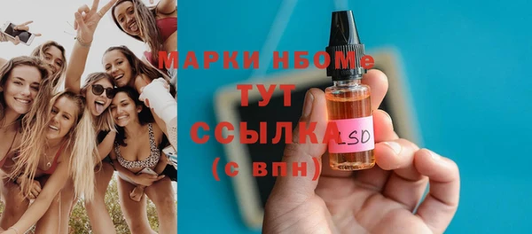 шишки Горно-Алтайск