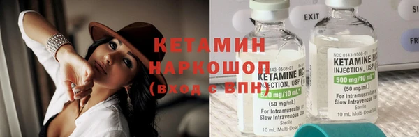 шишки Горно-Алтайск
