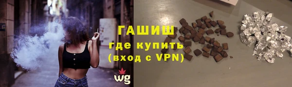 шишки Горно-Алтайск