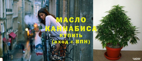 шишки Горно-Алтайск