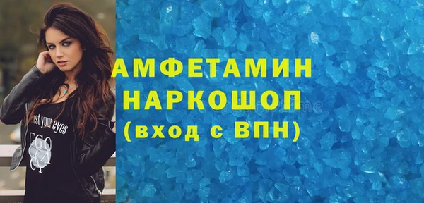 шишки Горно-Алтайск