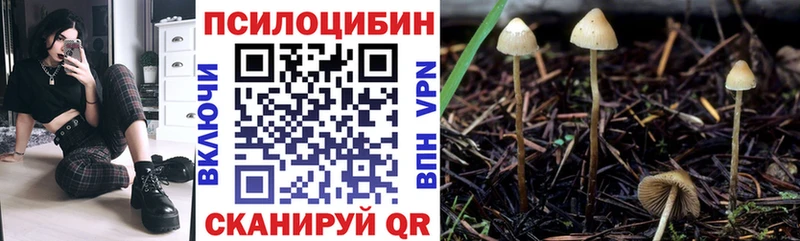 OMG маркетплейс  Железногорск  Галлюциногенные грибы мицелий 