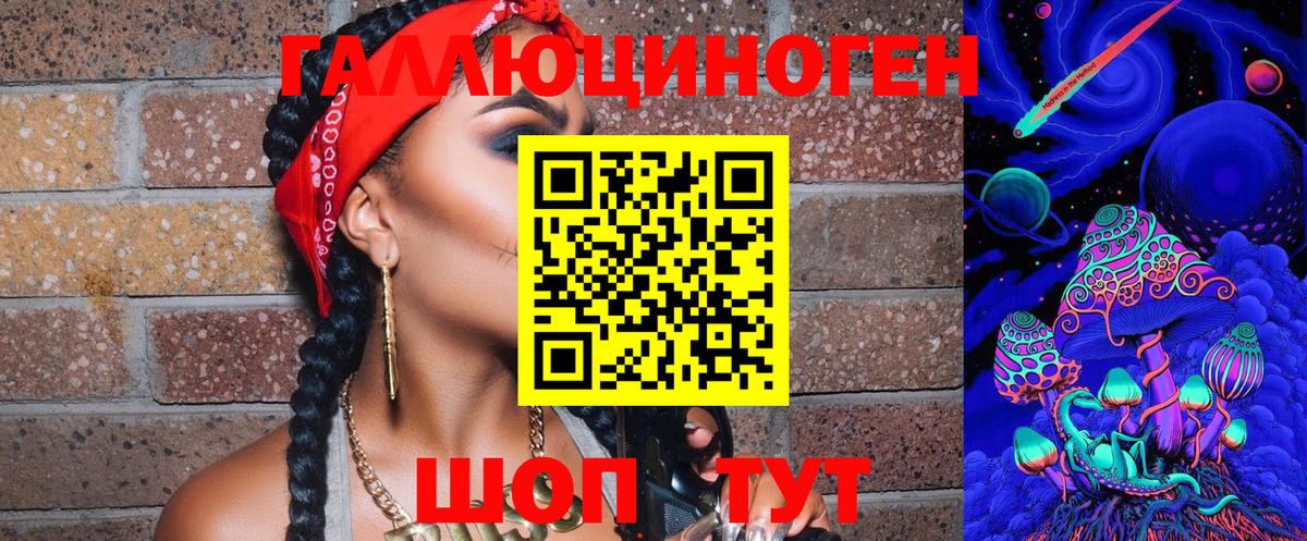 Галлюциногенные грибы Psilocybe  Вход с VPN  Железногорск 