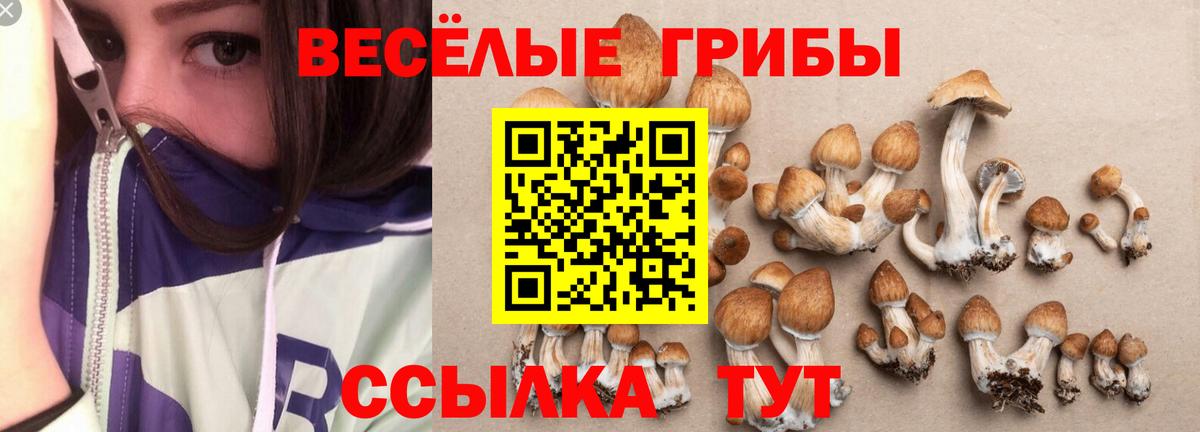 ГАШИШ  Каннабис  Меф МЯУ МЯУ кристаллы  Железногорск  MDMA  Вход с VPN  Гашиш  А ПВП СК кристаллы 